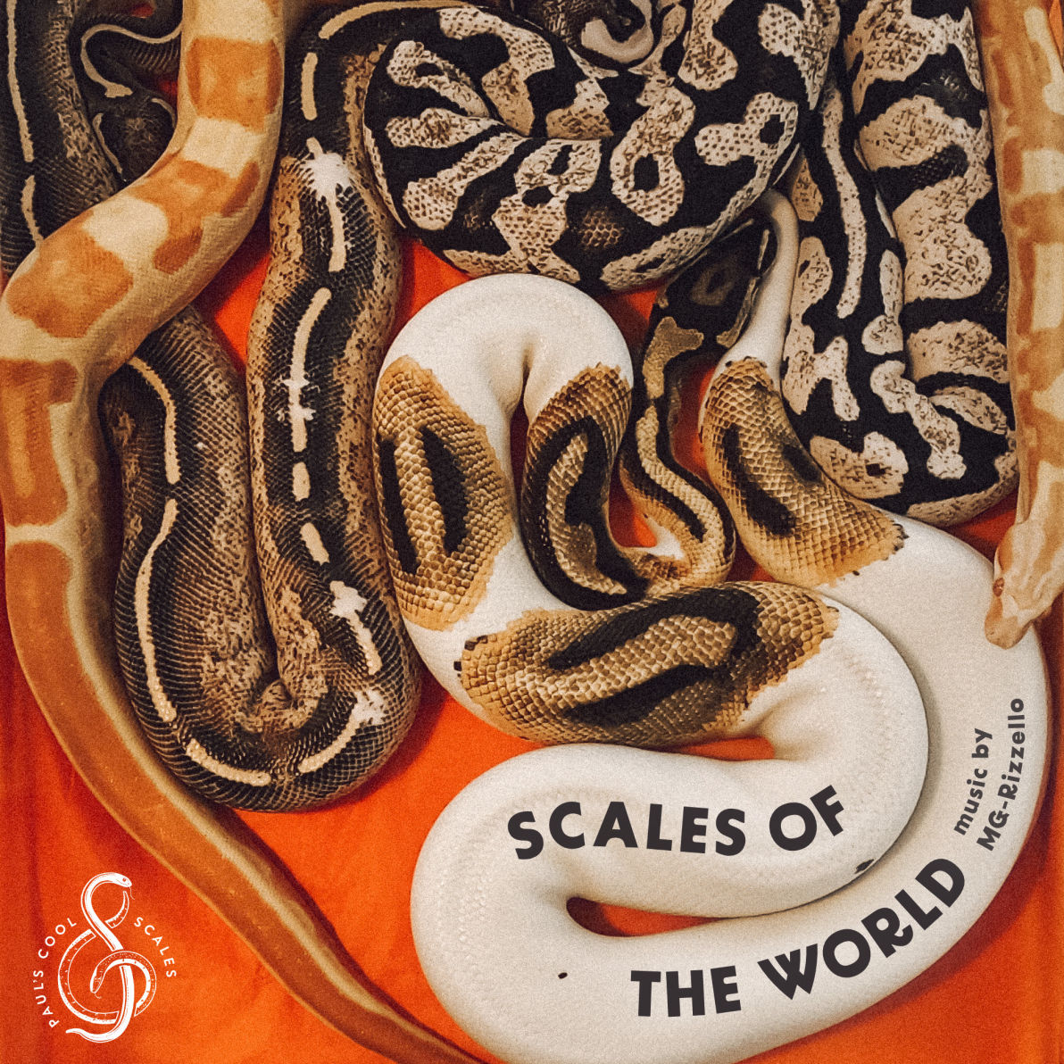 Scales of the Wolrd